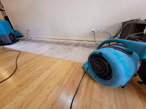 Professional Basement Flood Cleanup technician working in Colonia, NJ